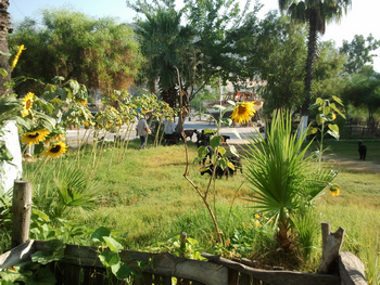 Andriake Camping & Glamping
